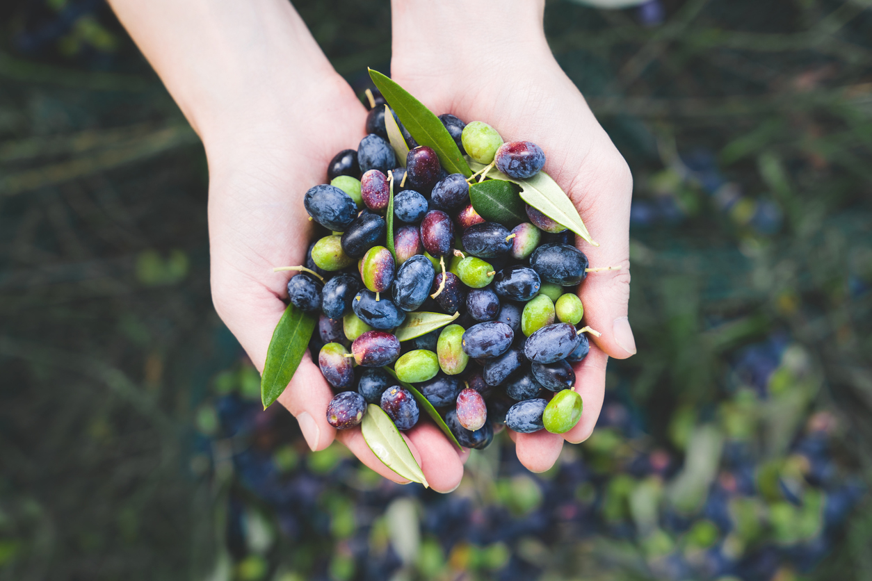 le-olive-nere-sono-olive-verdi-invaiate-chimicamente?-–-agrodolce