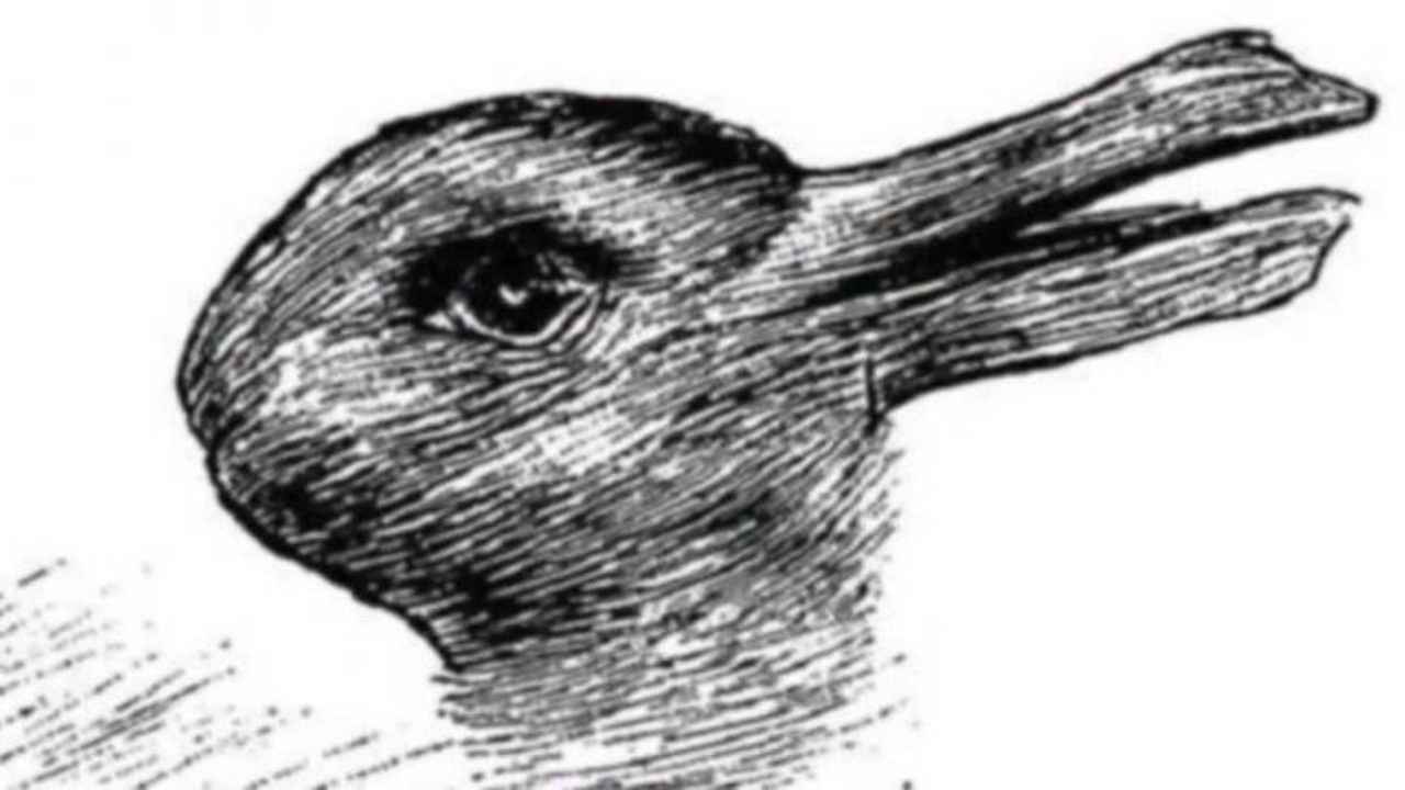 test-visivo,-vedi-prima-l'anatra-o-il-coniglio?-svela-una-parte-di-te-che-non-conoscevi