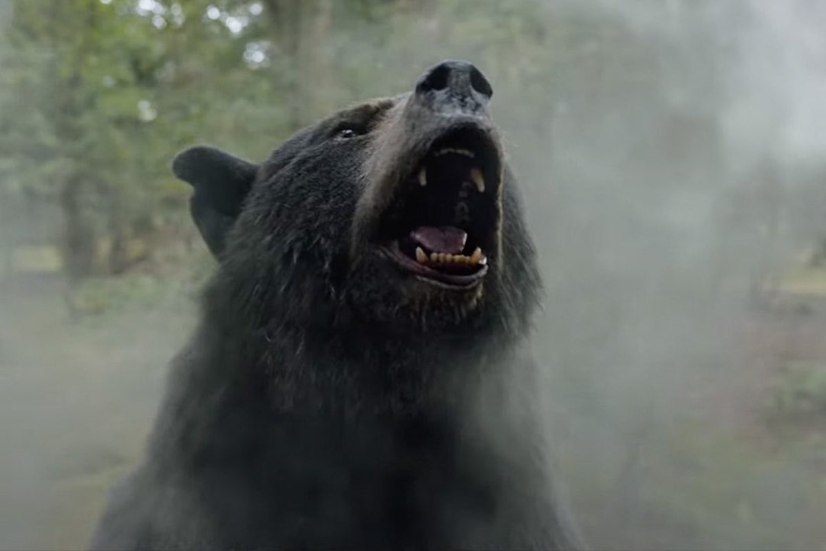 cocaine-bear:-trama,-cast-e-uscita-del-nuovo-film-di-elizabeth-banks-|-donne-magazine